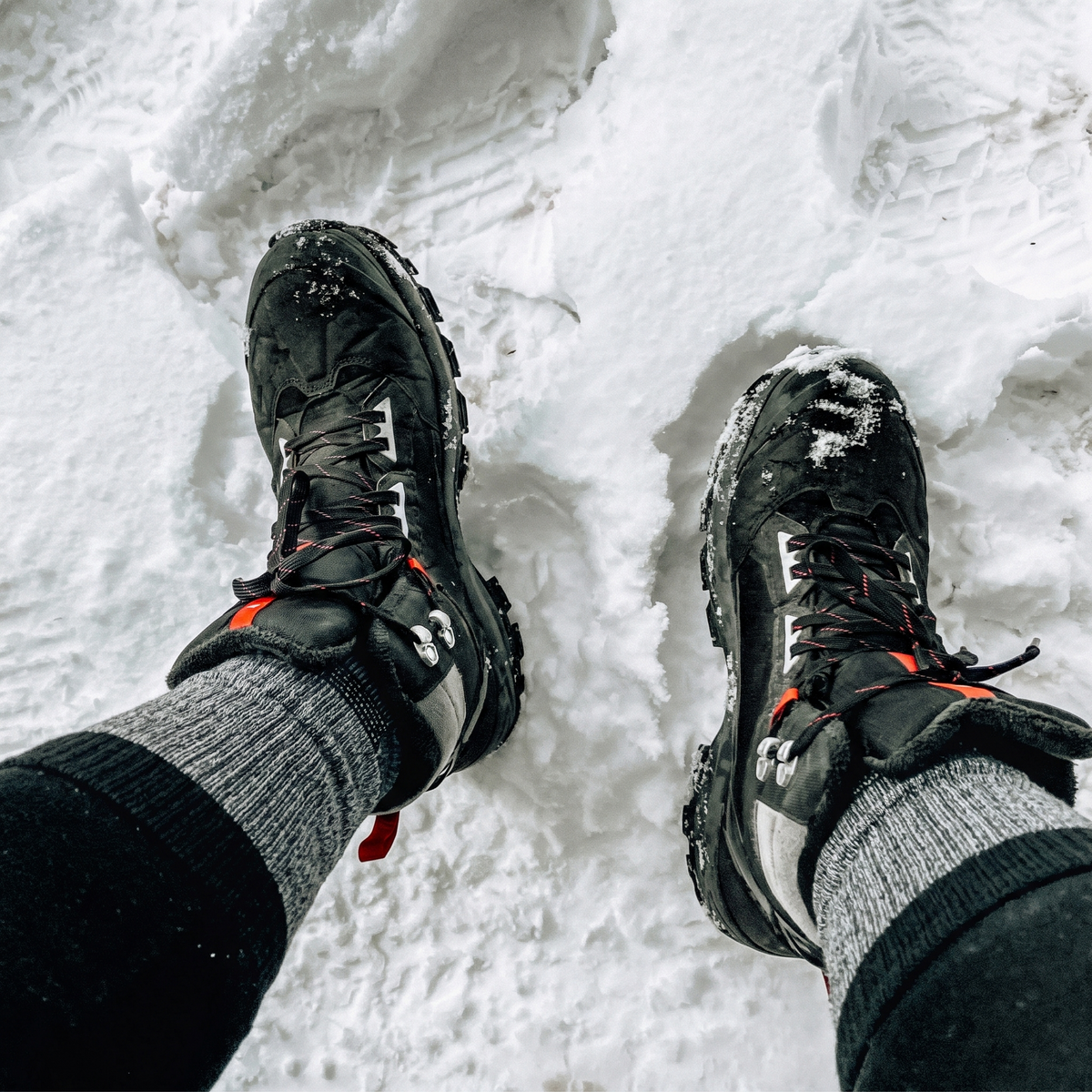 DYS.SPORT Merino Wool Blend Hiking Socks | Midweight Cushioned Outdoor Crew Socks