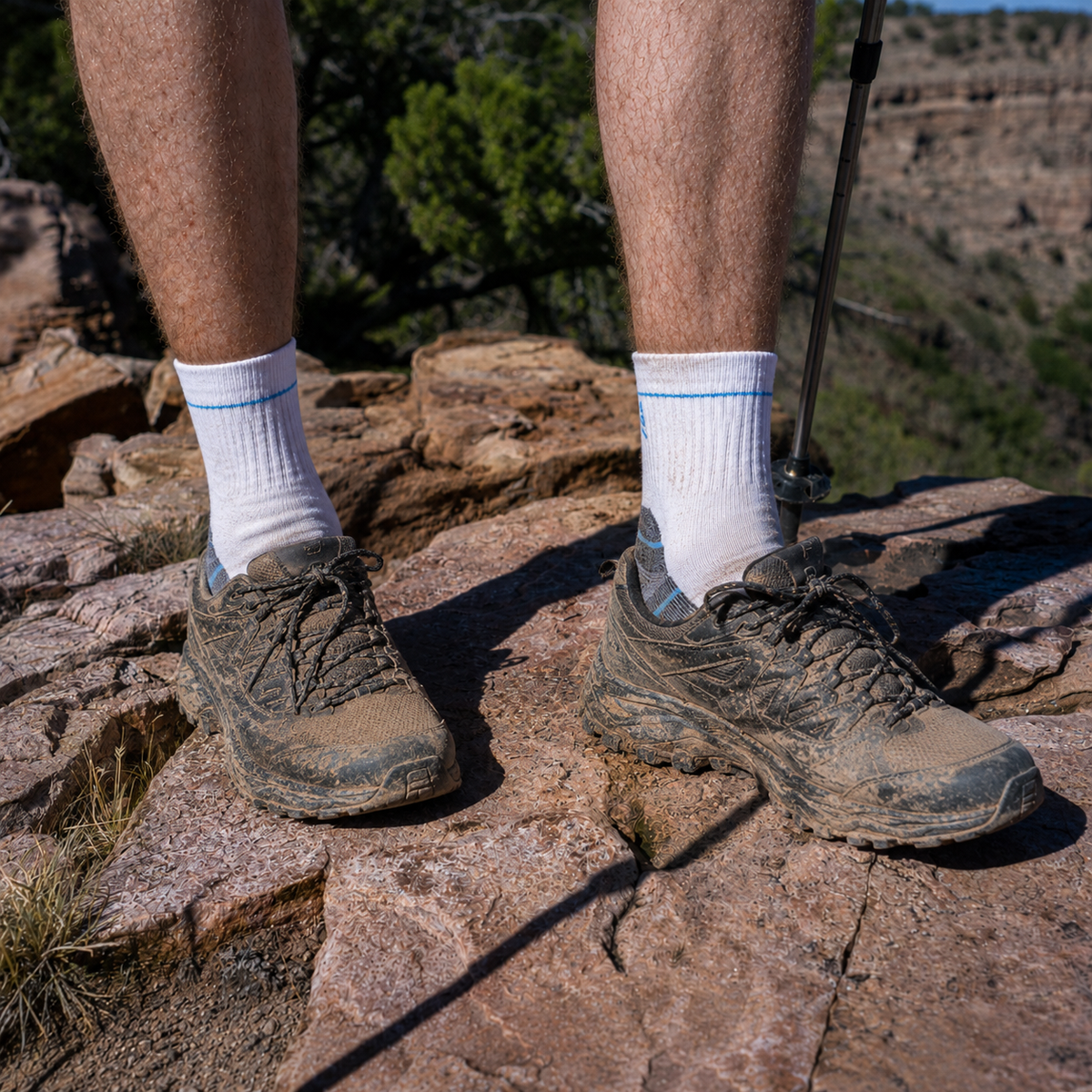 DYS.SPORT Men's Merino Wool Blend Hiking Socks | Lightweight Outdoor Crew Socks